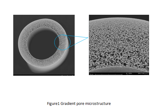 ultrafiltration membrane