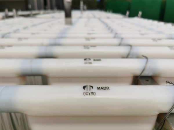 MABR biological membrane