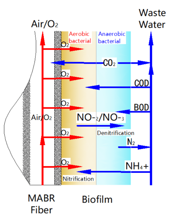 MABR (Membrane Aerated Biofilm Reactor) - Oxy Membrane