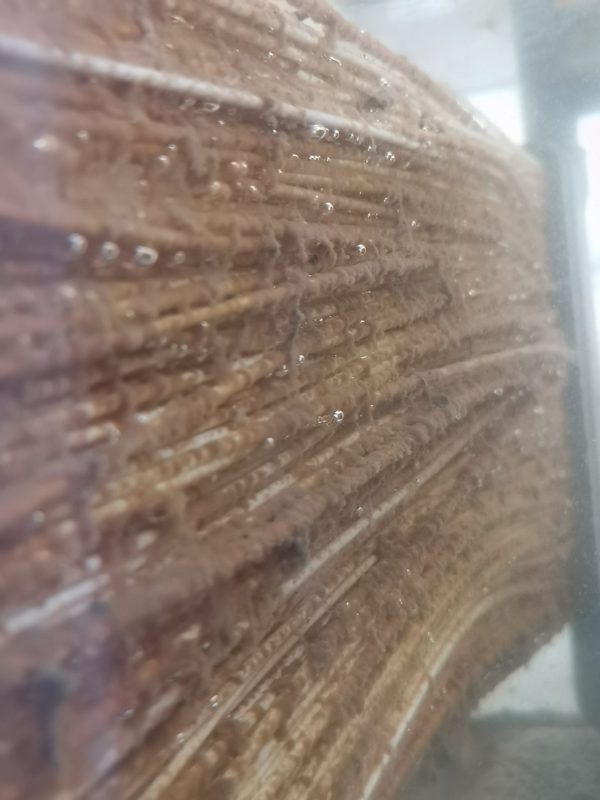 MABR (Membrane Aerated Biofilm Reactor)